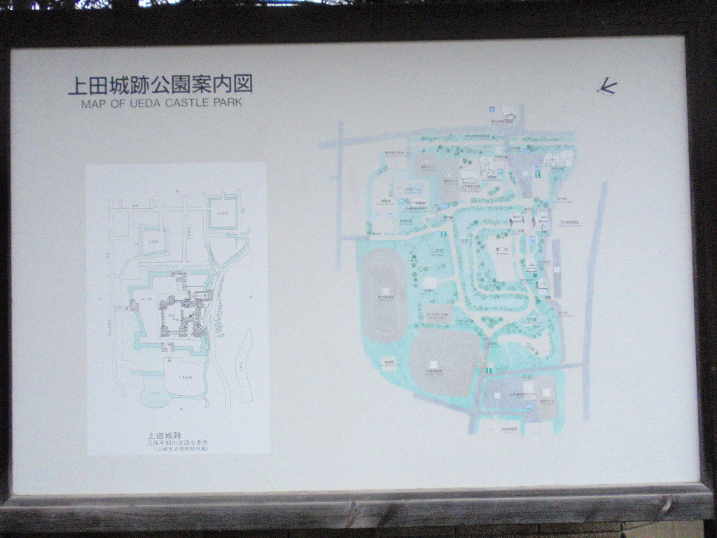 イメージ 5