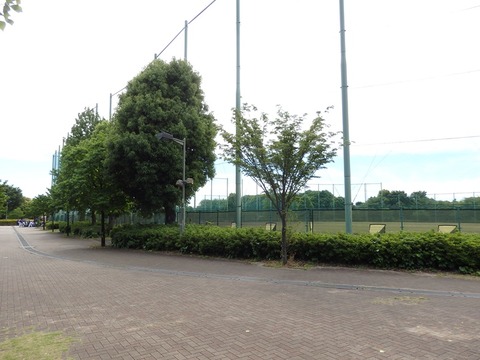 P5093257