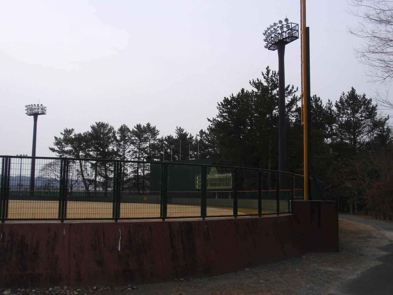 イメージ 6