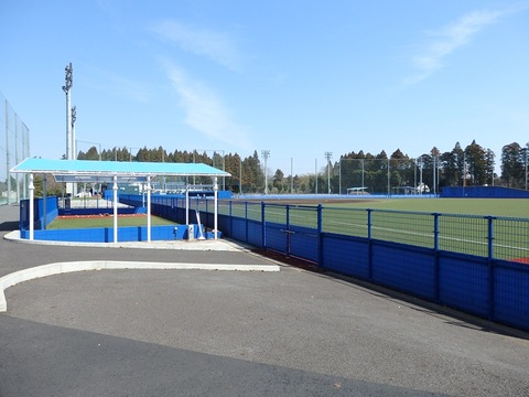 P3214594