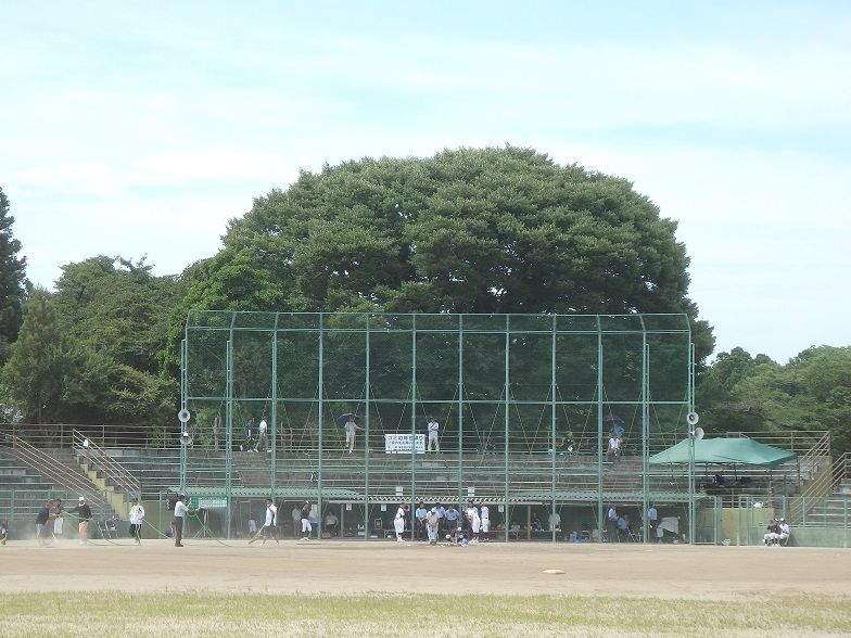 イメージ 20