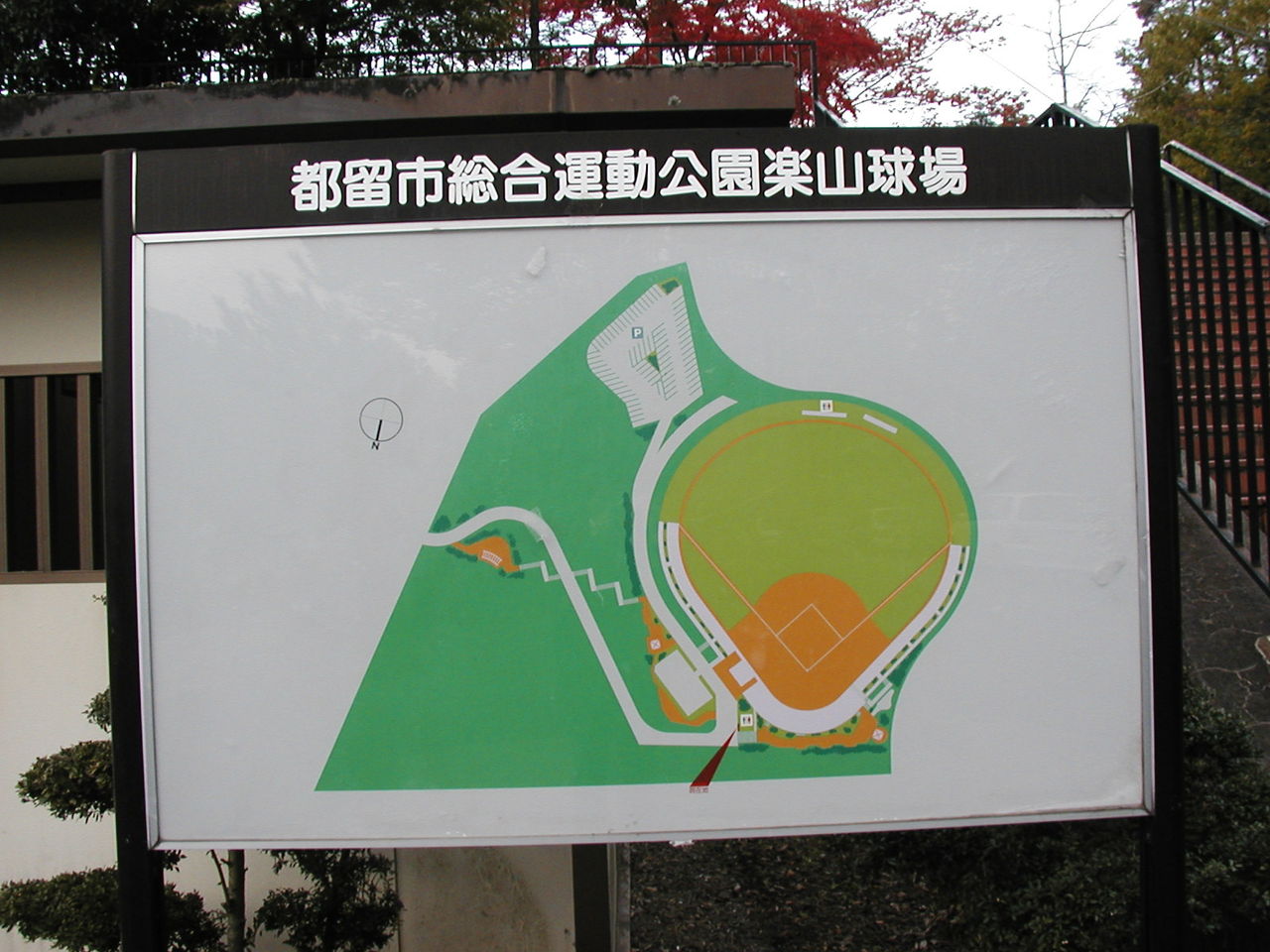 イメージ 7