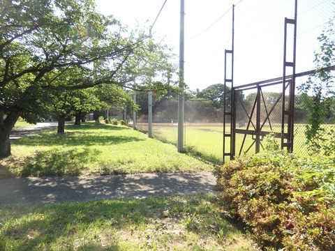P5305747