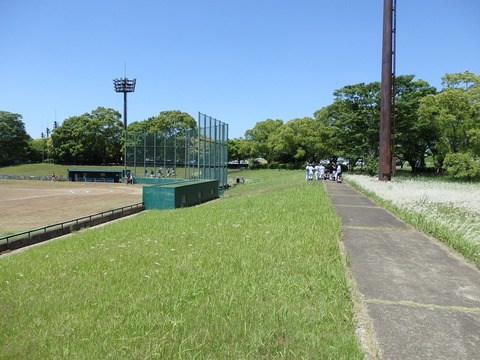 P5305537