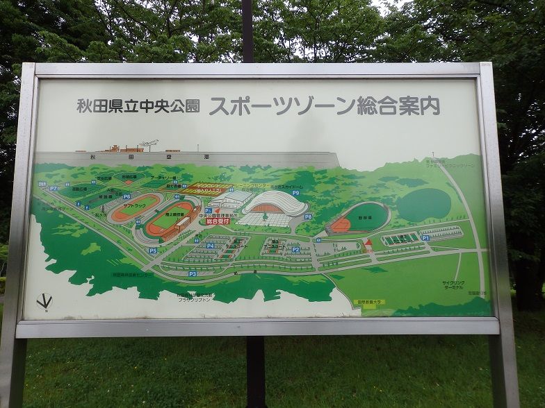 イメージ 16