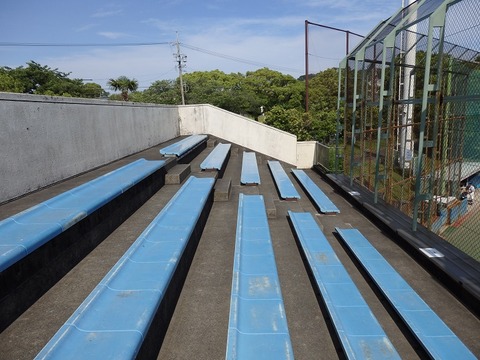 P5290347