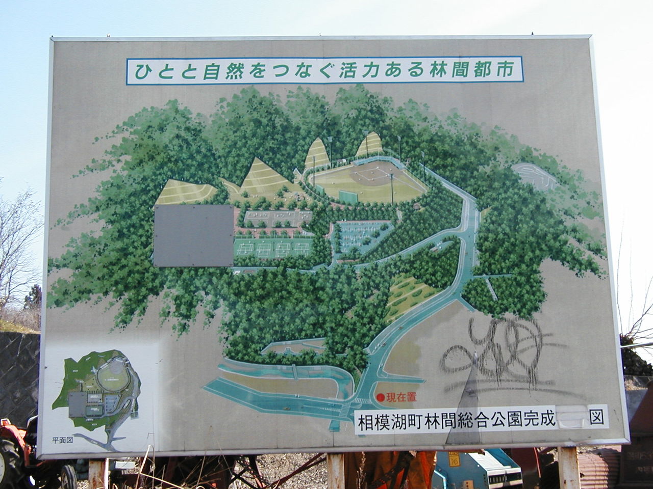 イメージ 6