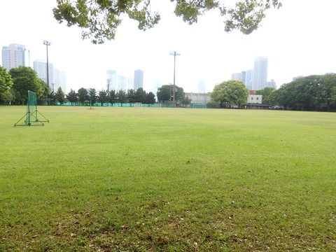 P5031684