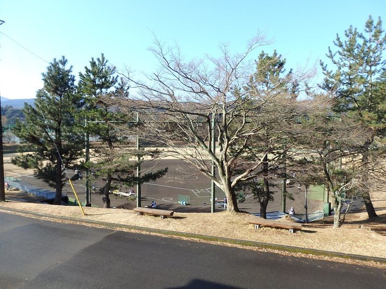 イメージ 3