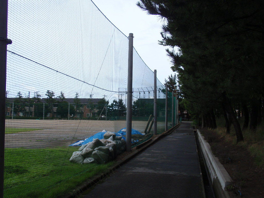 イメージ 3