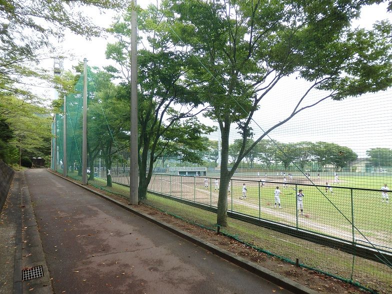 イメージ 13