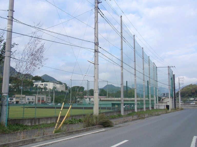 イメージ 5