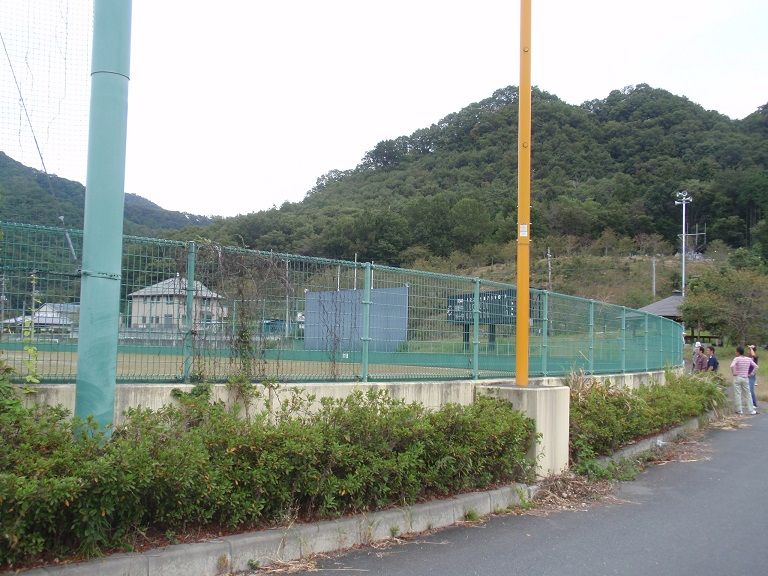 イメージ 15