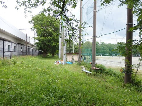 P5062963