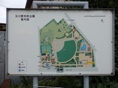 P5234747