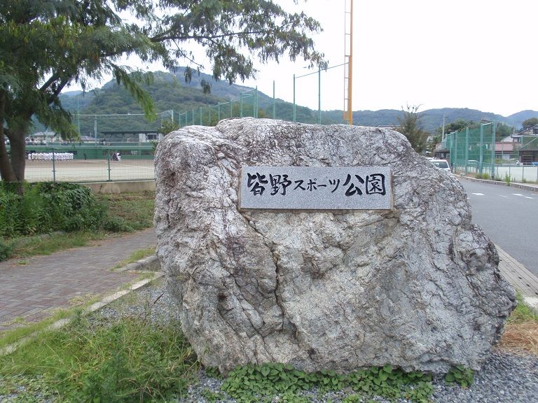 イメージ 19