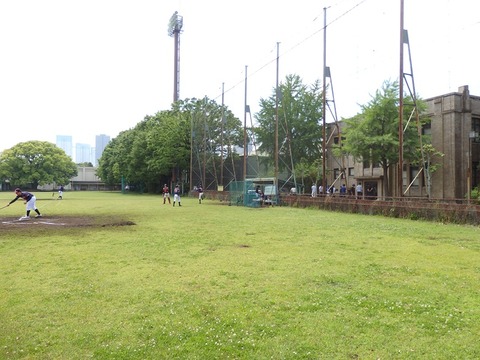 P5031567