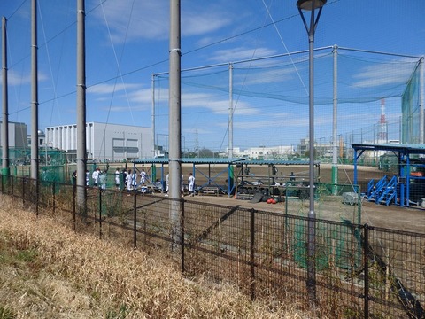 P3153956