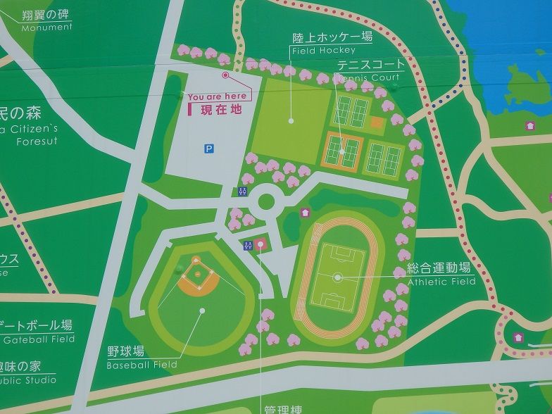 イメージ 19