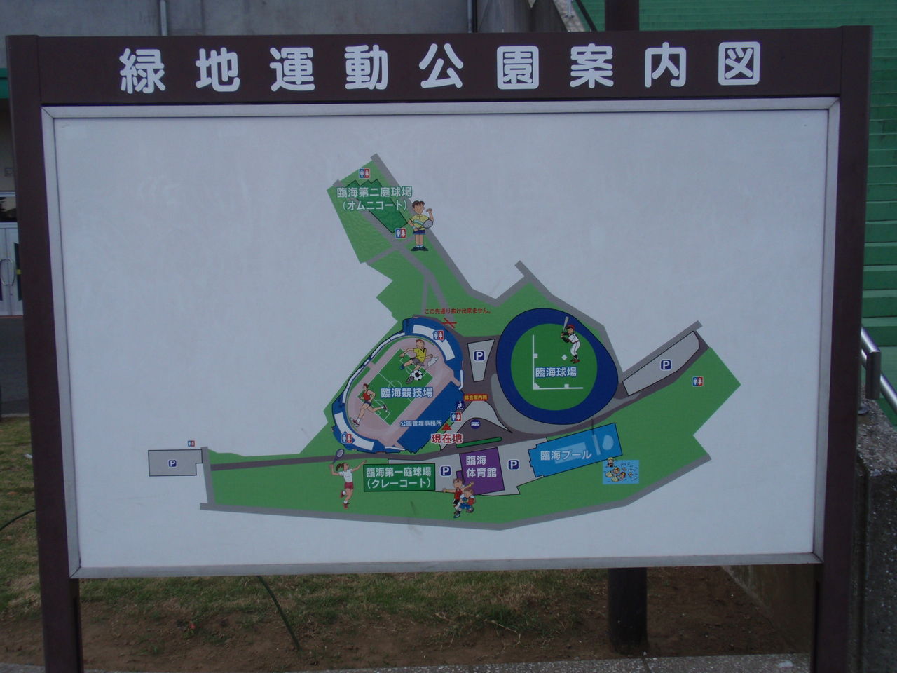 イメージ 7
