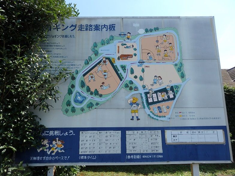 イメージ 18