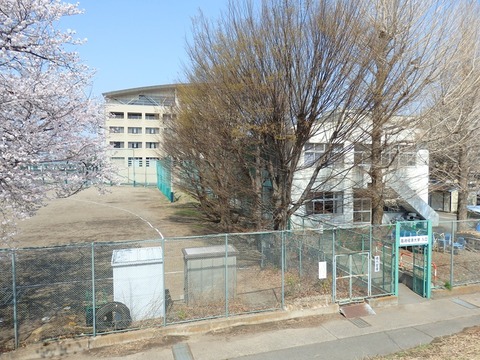 P3295543