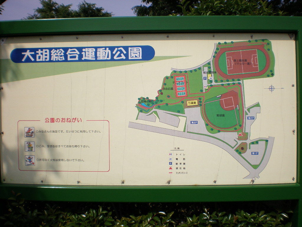 イメージ 6
