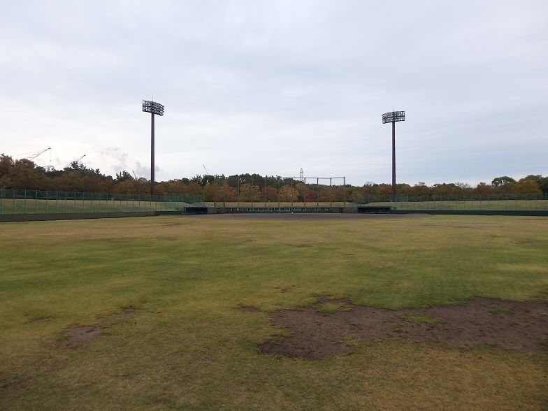 イメージ 15