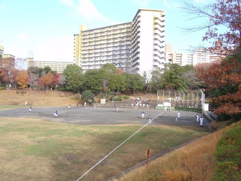 イメージ 6