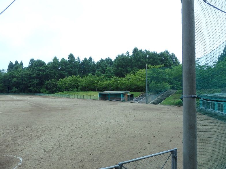 イメージ 5