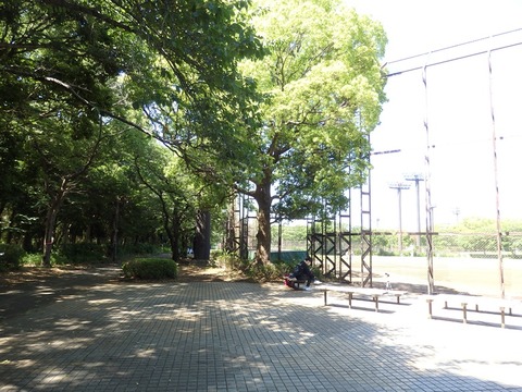 P5305582