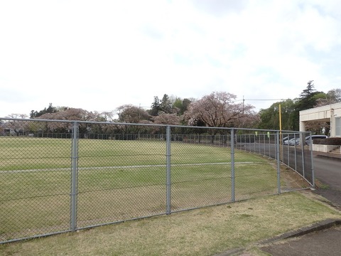 P4040148