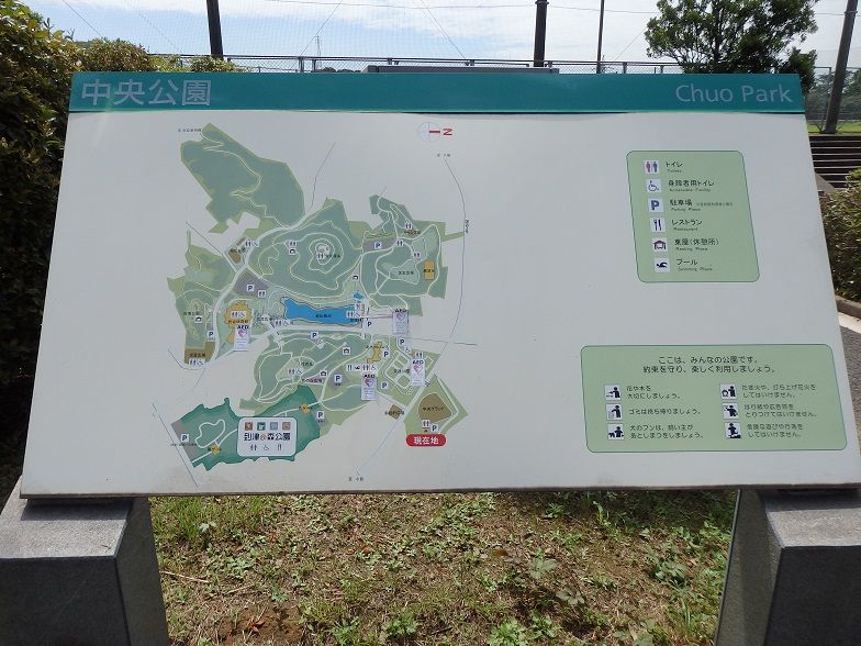 イメージ 18