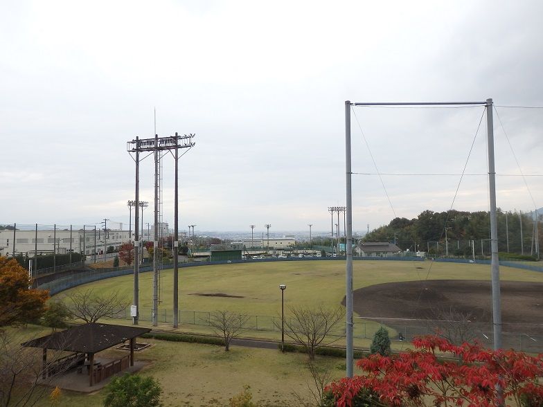 イメージ 14