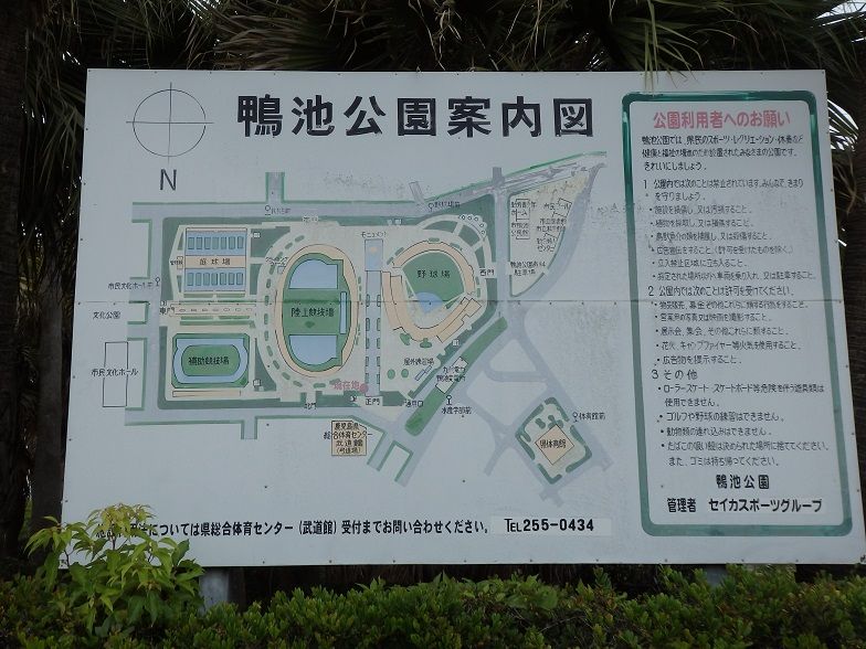 イメージ 22