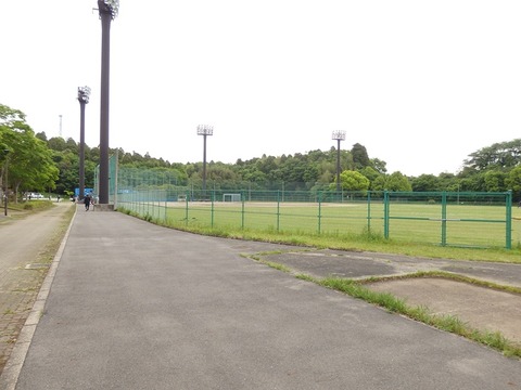 P5031308