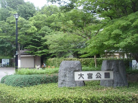 P6050329