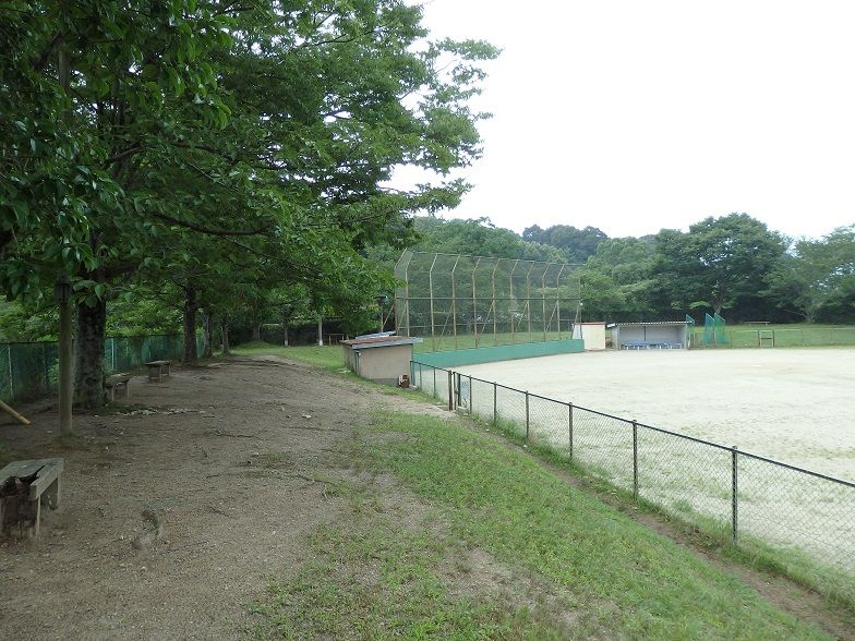 イメージ 6