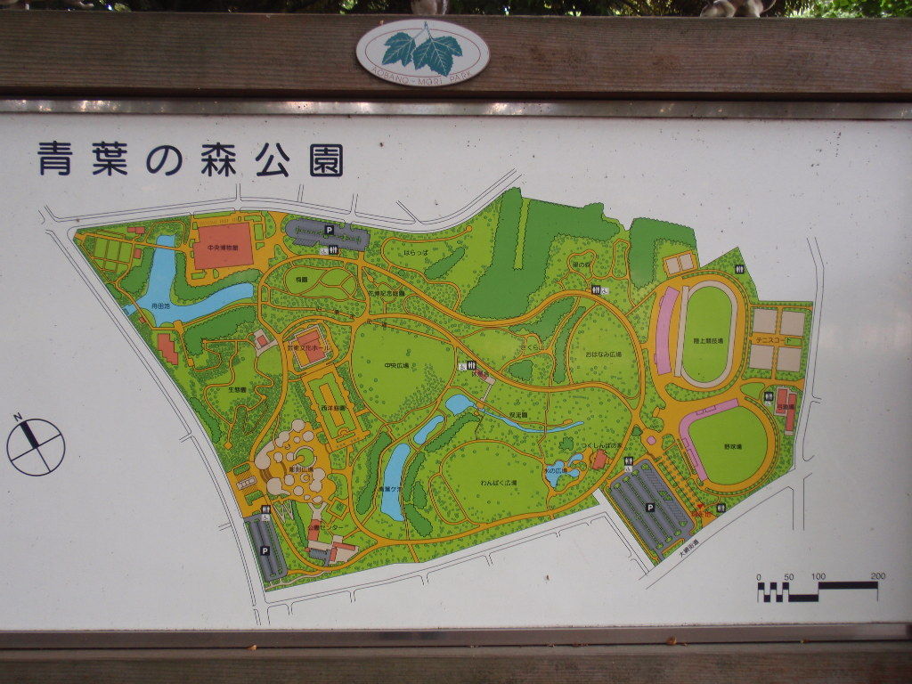 イメージ 6