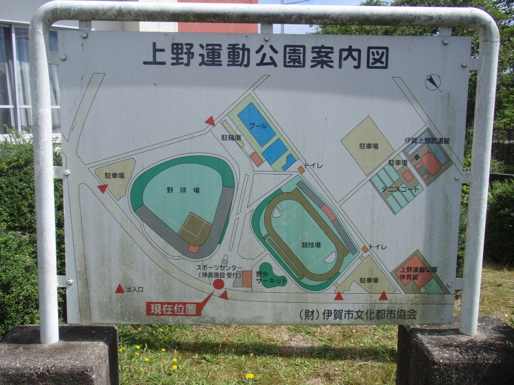 イメージ 8