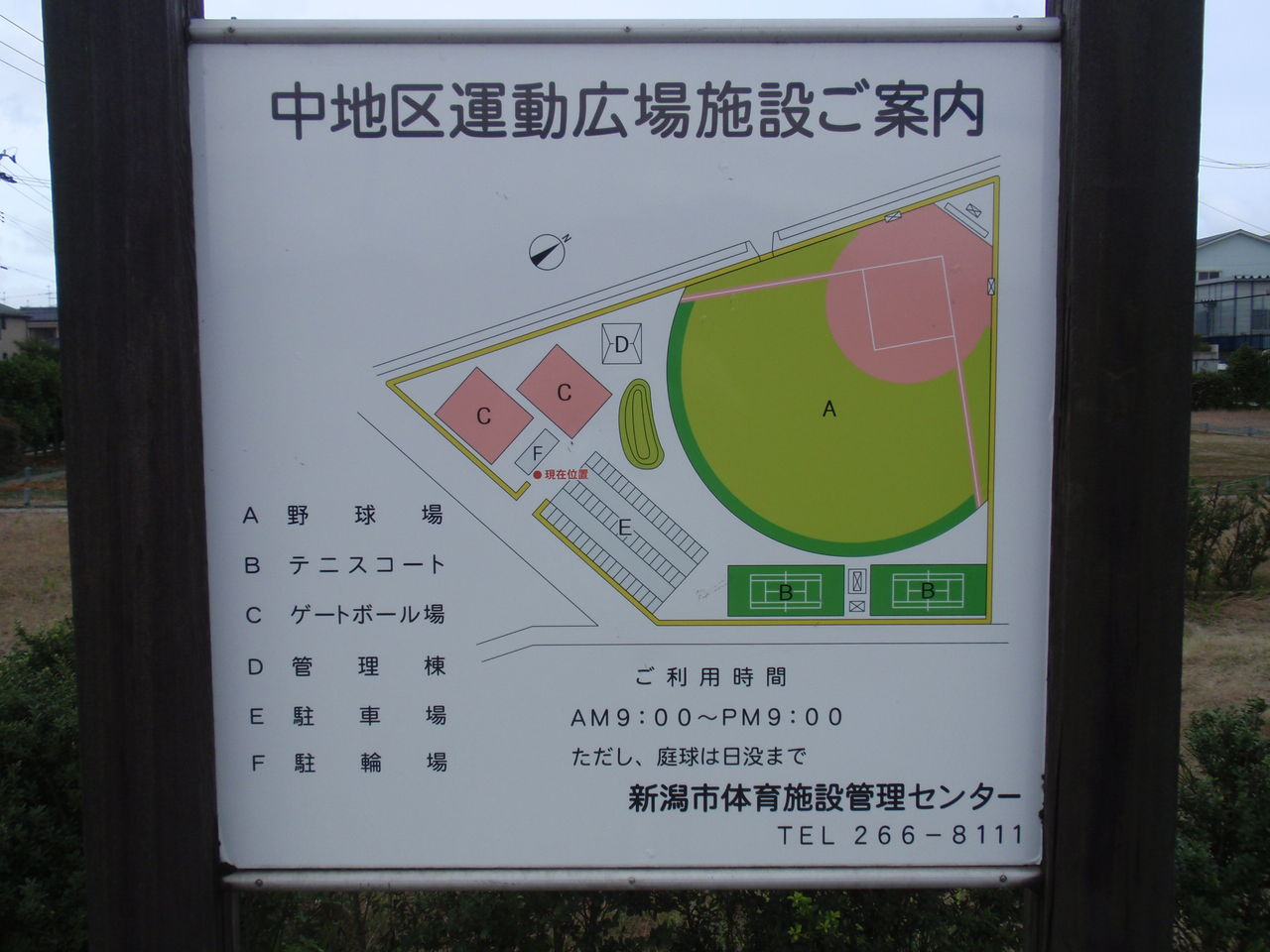イメージ 9