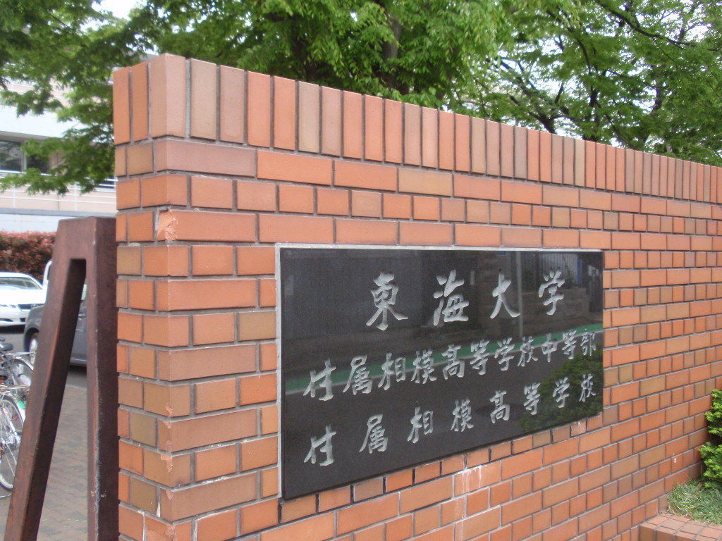 イメージ 13