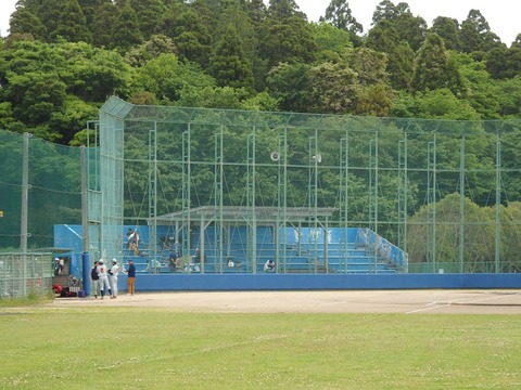 P5031319