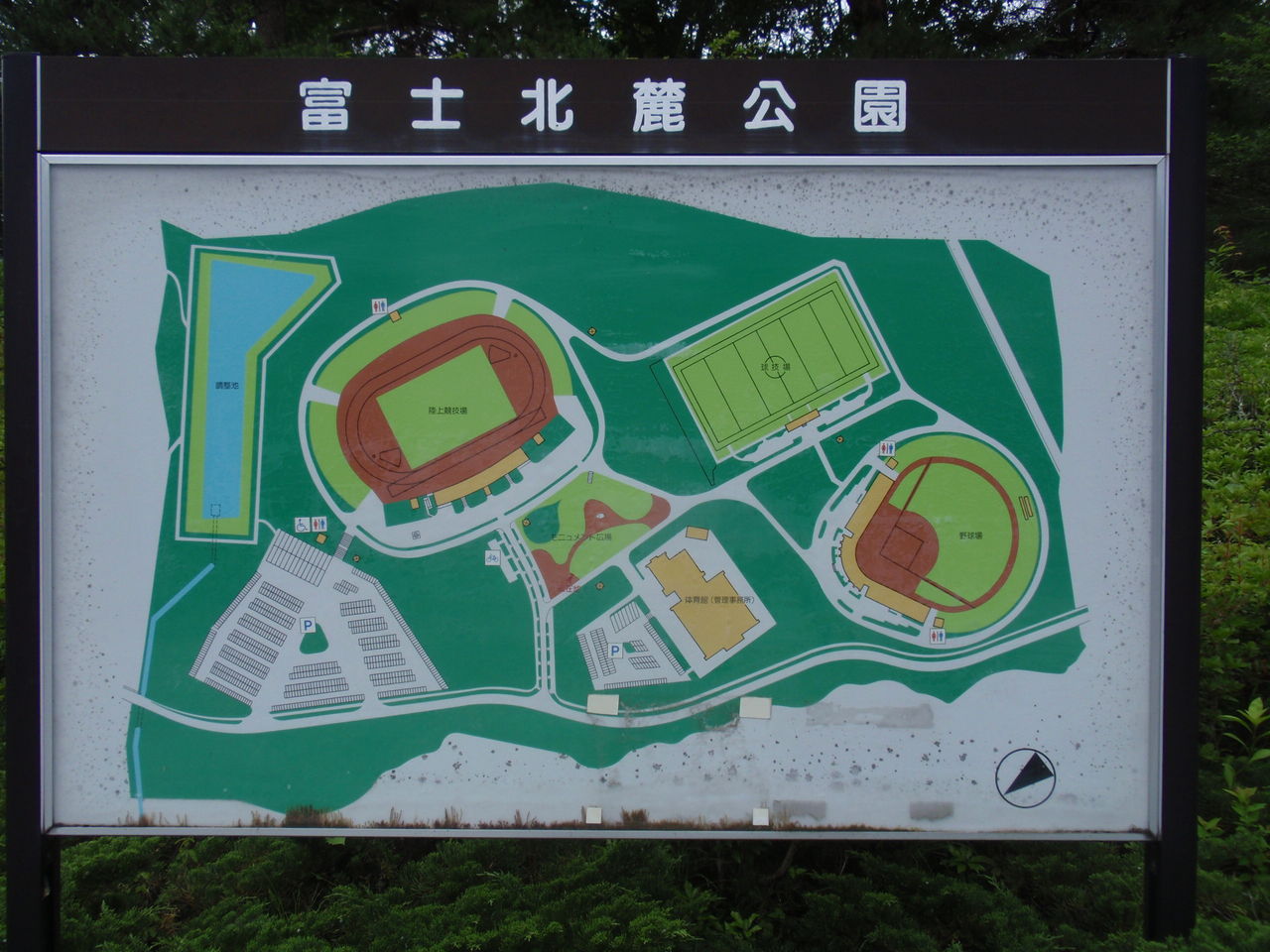 イメージ 8