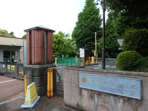 P5062926