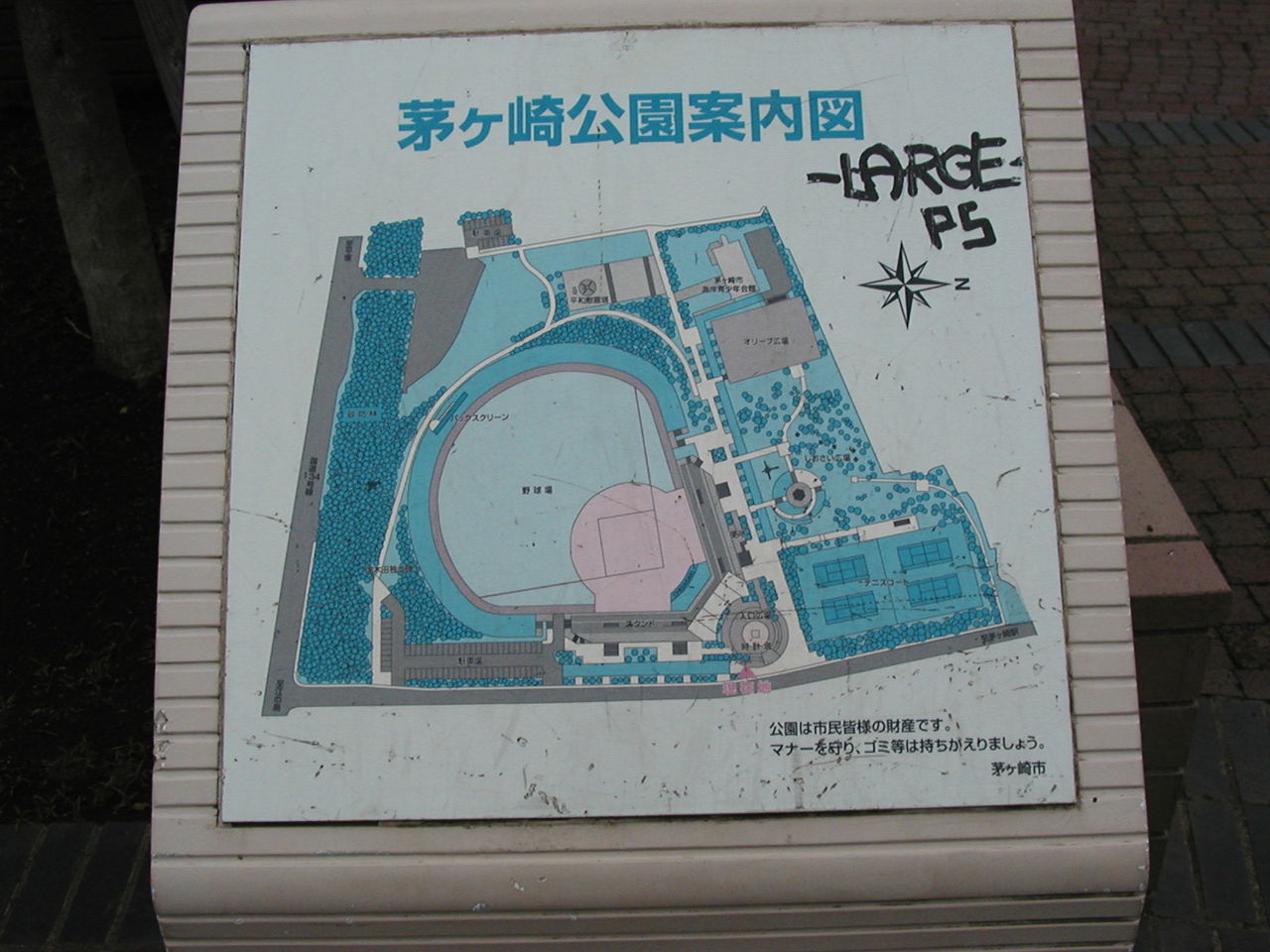 イメージ 7