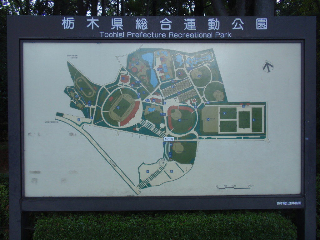 イメージ 8