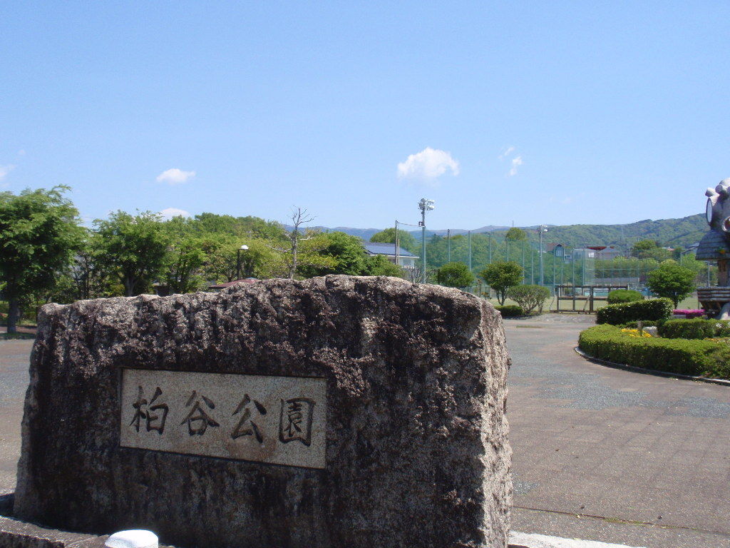 イメージ 9