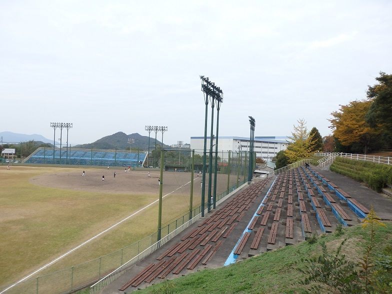 イメージ 7