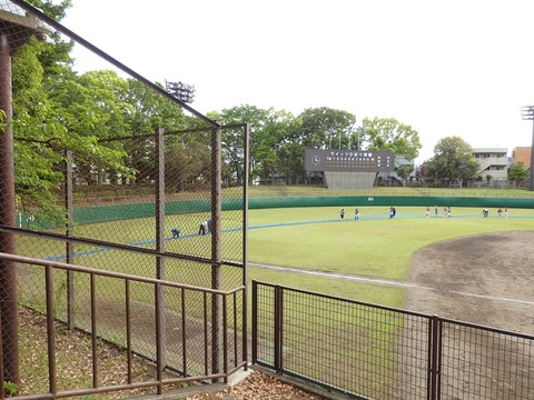 P5021226
